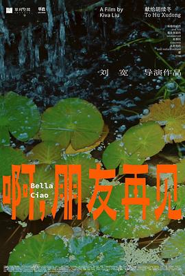 我的牛仔英雄梦