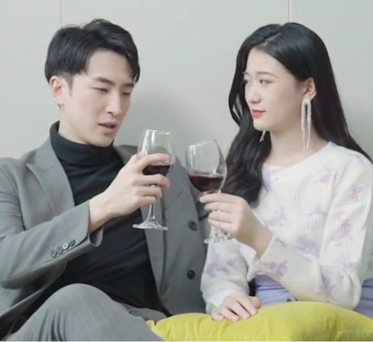 居家兵团(国语)