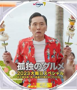 新霹雳游侠