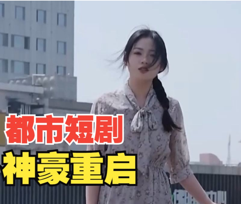 巅峰拍档第三十三季