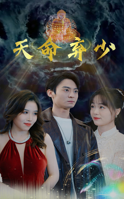 索尼克：回家大冒险2