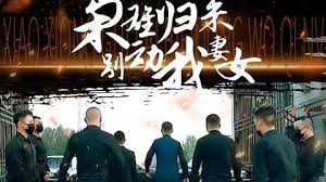 枭雄归来别动我妻女