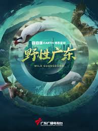 野性广东